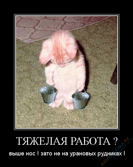 Синквейн